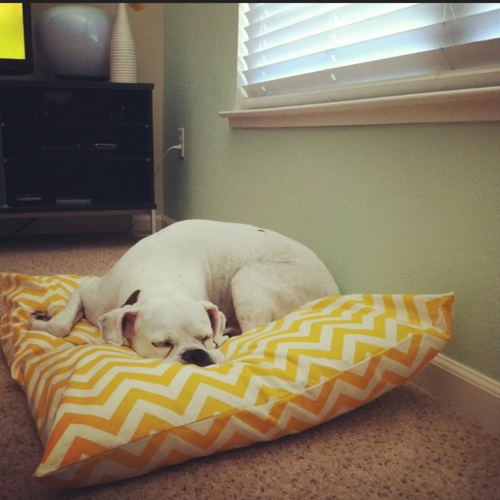 For Your Love of Dogs Yellow Chevron Dog Bed Cover